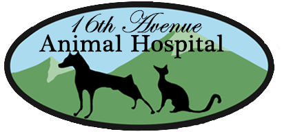 16th Avenue Animal Hospital - Logo