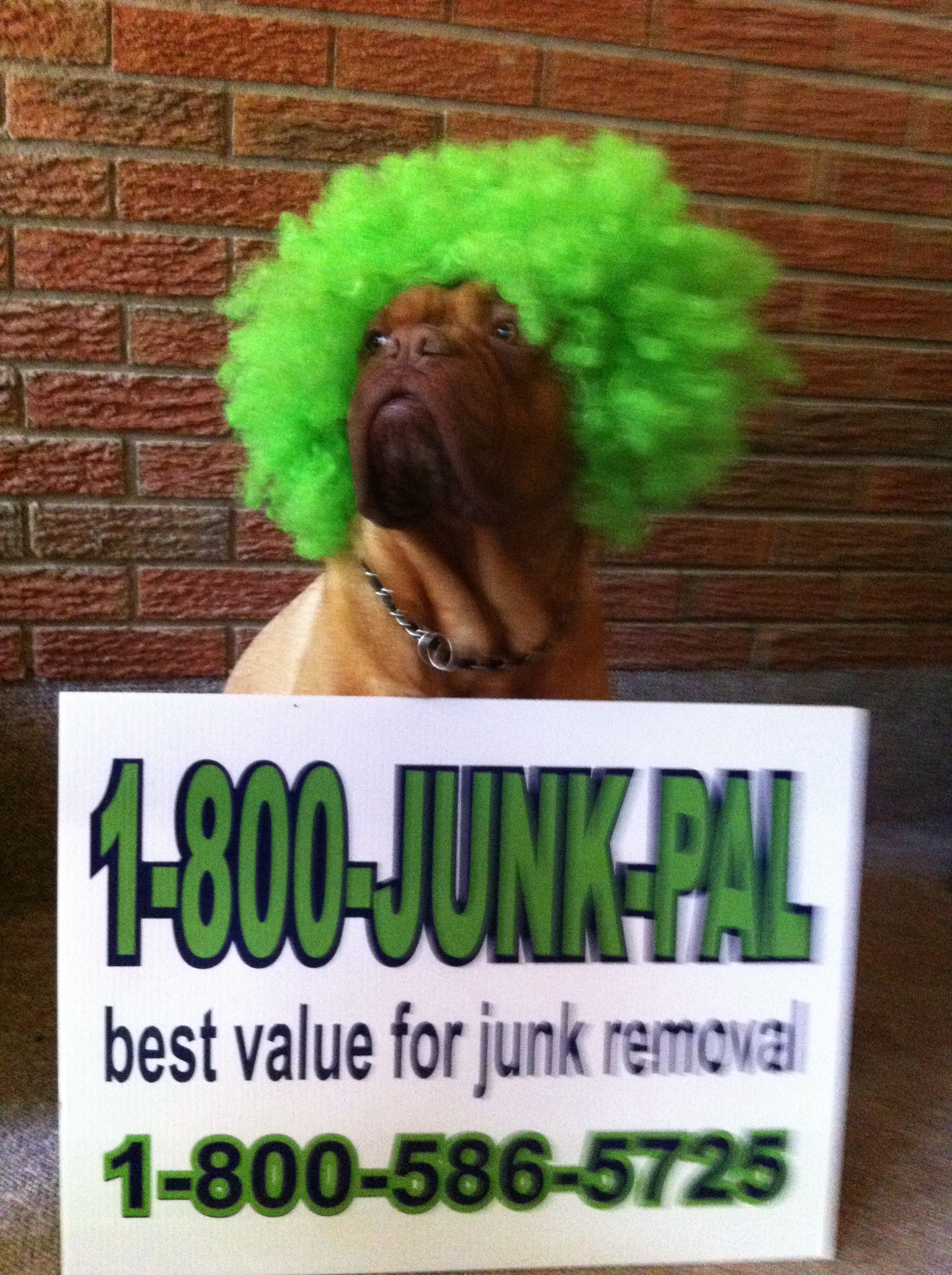 1-800-JUNK-PAL - Logo