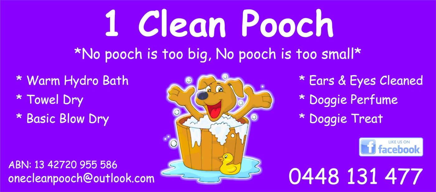 1 Clean Pooch - Cover photo
