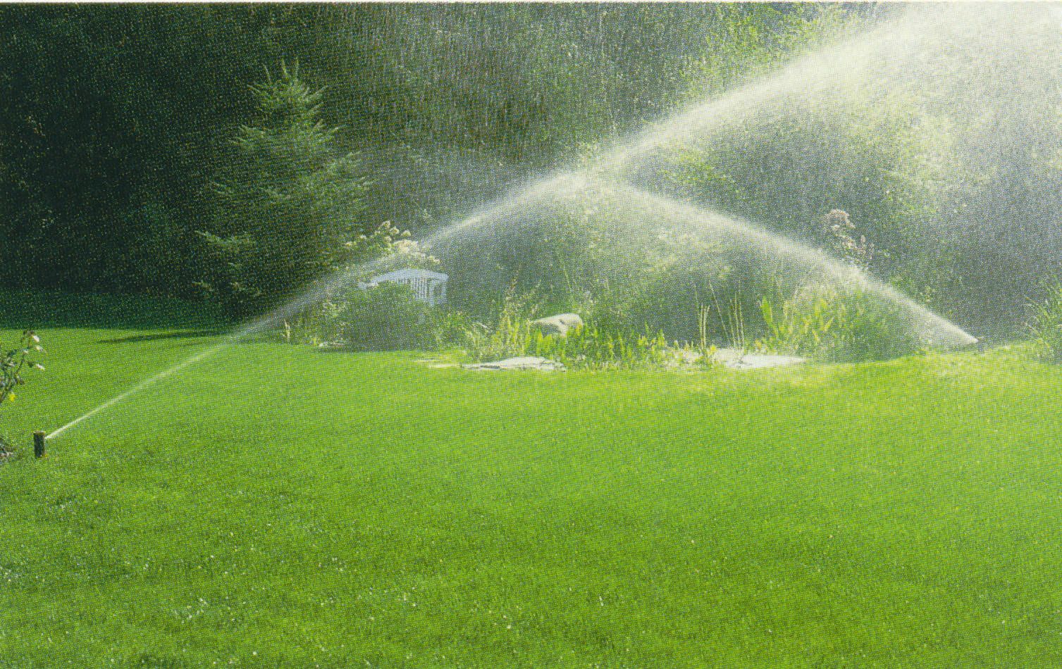 1st Choice Irrigation and Landscape Lighting System - Logo