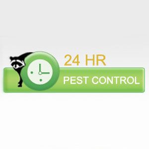 24 HR Pest Control - Division of Peel Pest Control Inc. - Logo