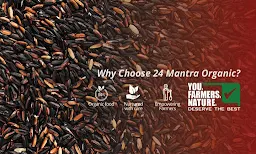 24 Mantra Organic Farm Shop - Logo