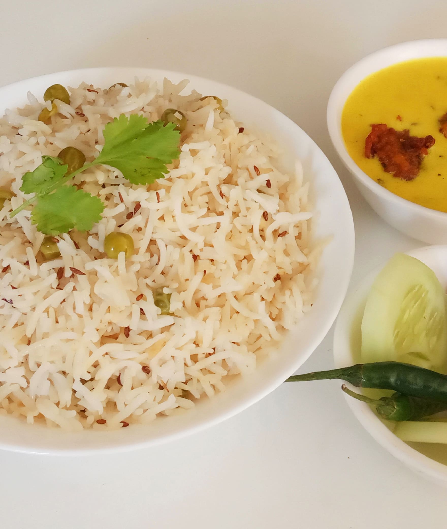 29 Degrees North (Pure Veg) - Logo