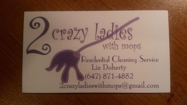 2 Crazy Ladies With Mops - Cover photo