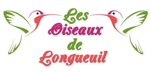 5Les Oiseaux de Longueuil - Logo
