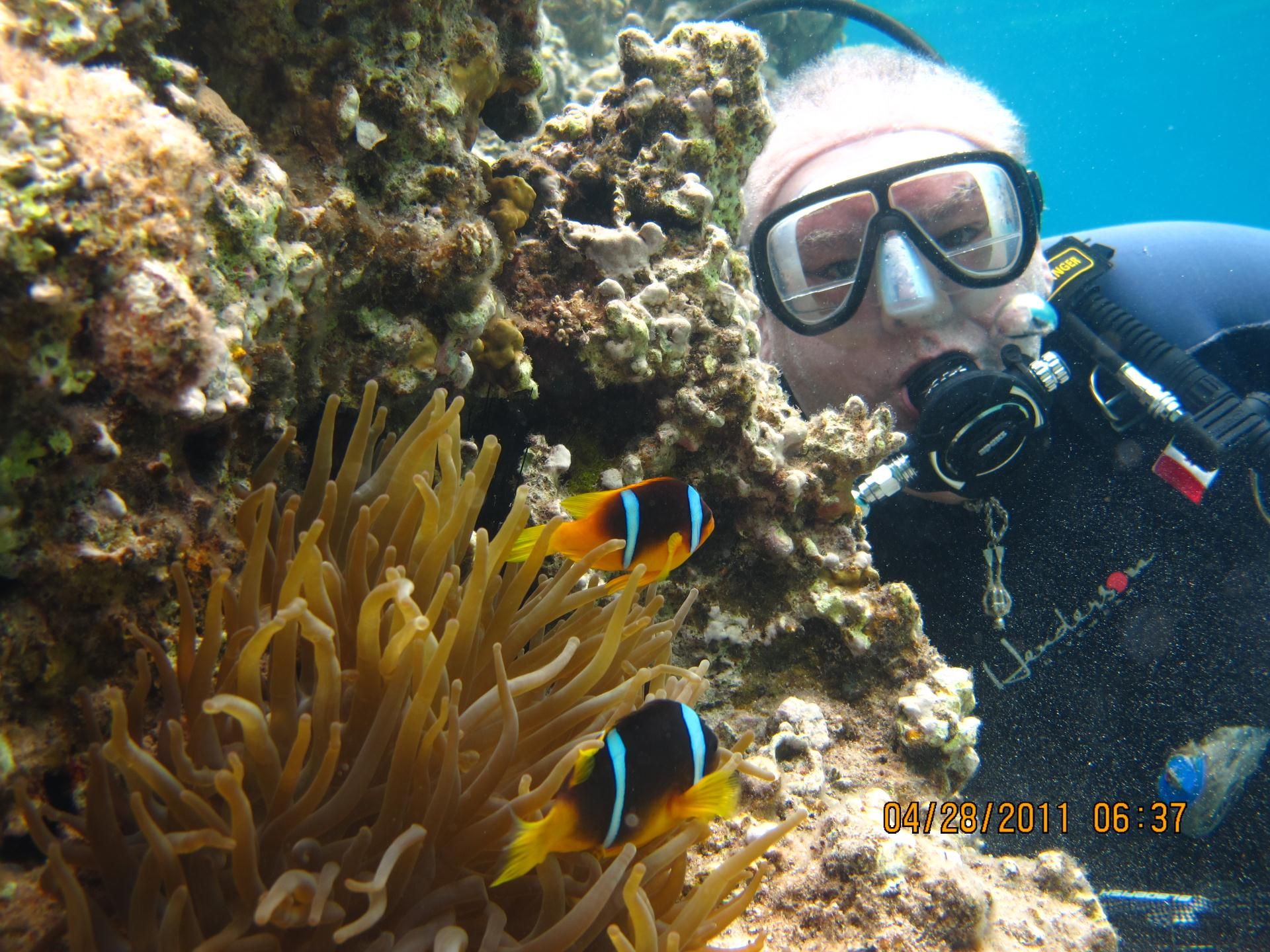 5SCUBA Dive Services SDS - Cover photo