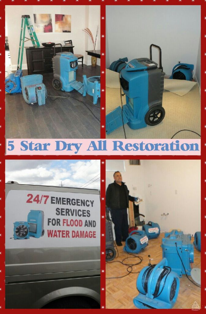 5 Star Dry All Water Damage - Cover photo