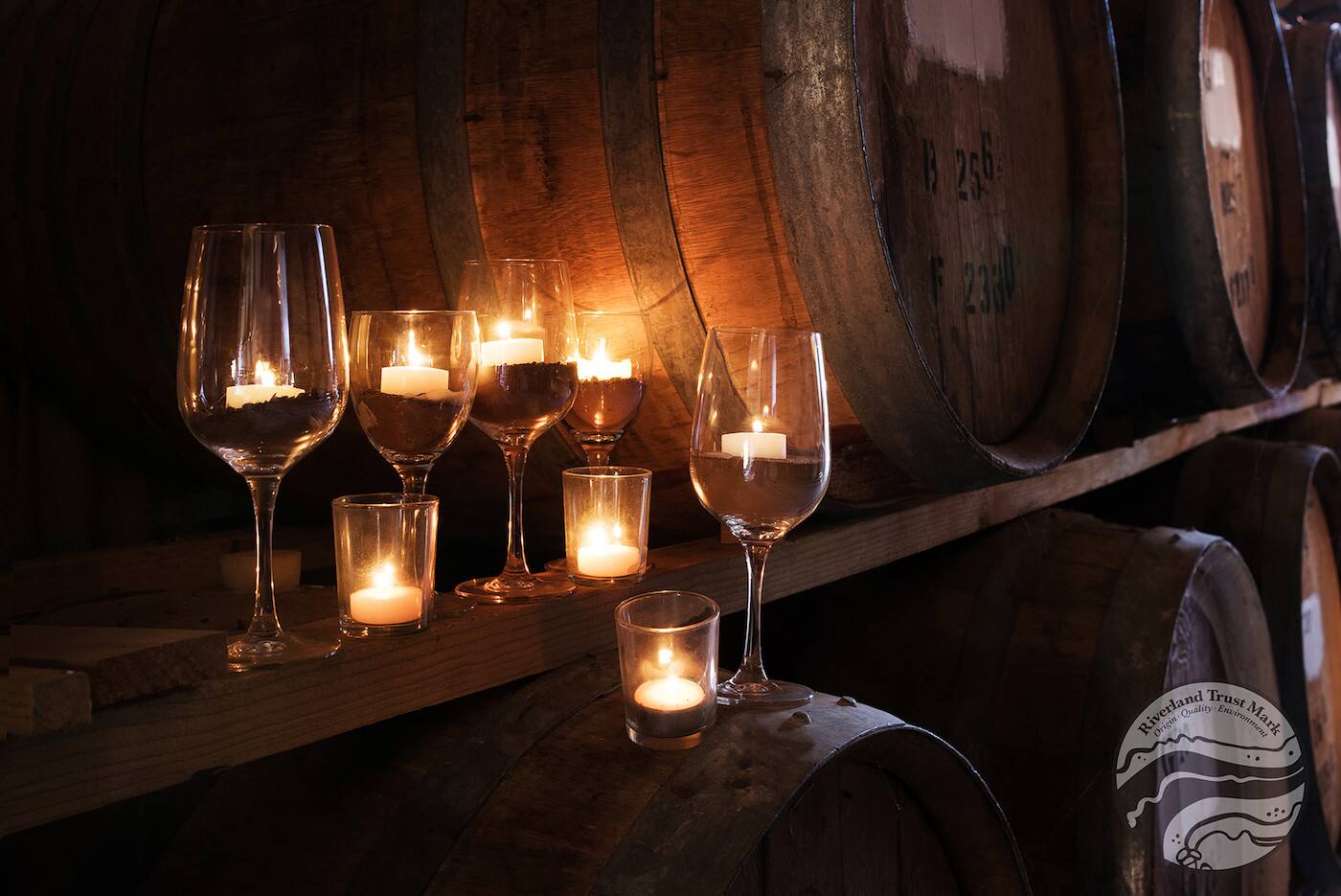919 Wines - Cover photo