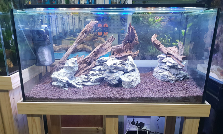 A1 Aquarium World - Cover photo