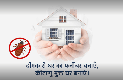 A2Z Pest Control Dwarka, Delhi - Logo