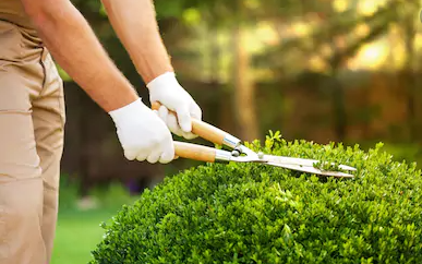 AAA. A Adept Gardener - Logo