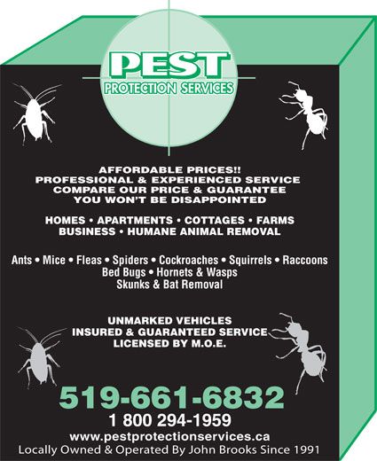 AAA Pest Protection Services - Logo