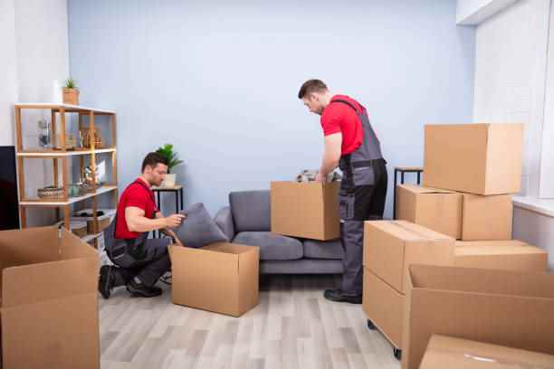 Aarkay Packers And Movers - Cover photo