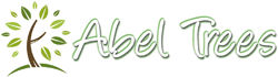Abel Trees - Logo