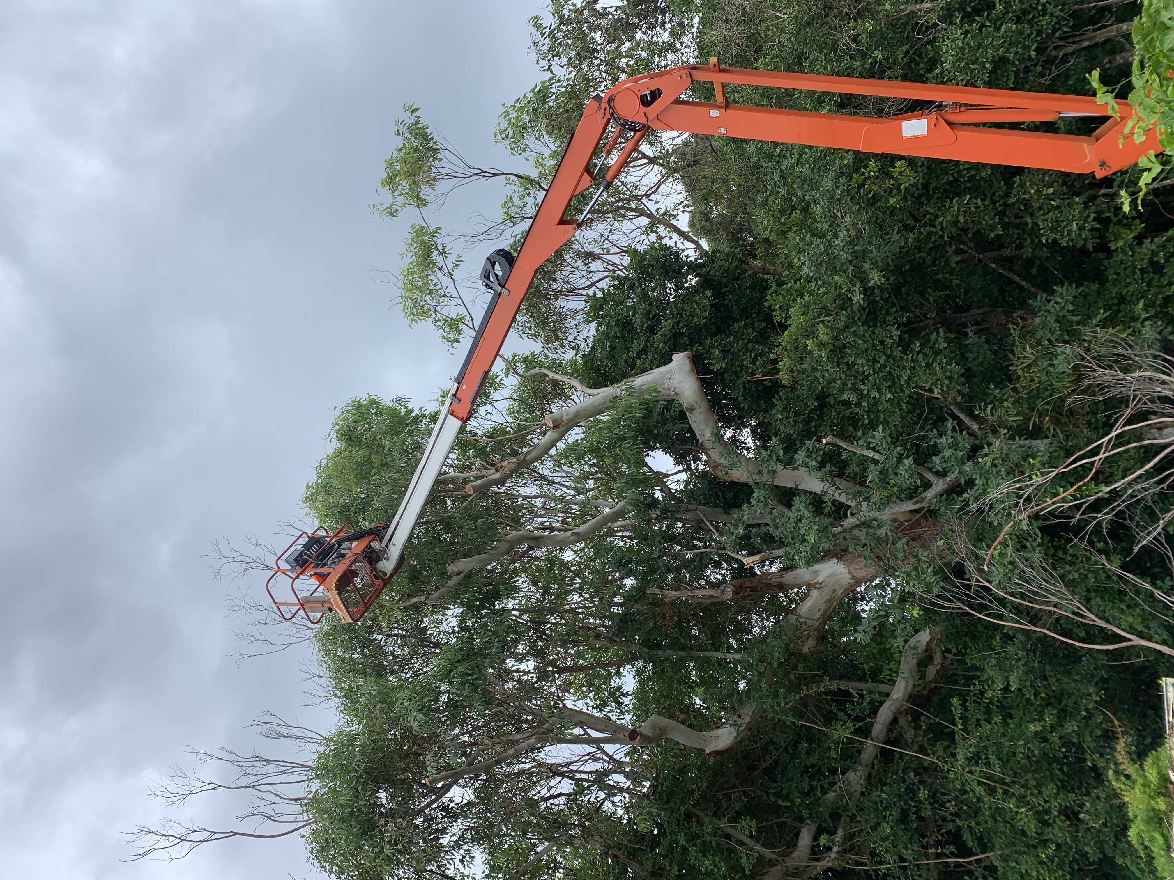 Ability Tree Service - Cover photo