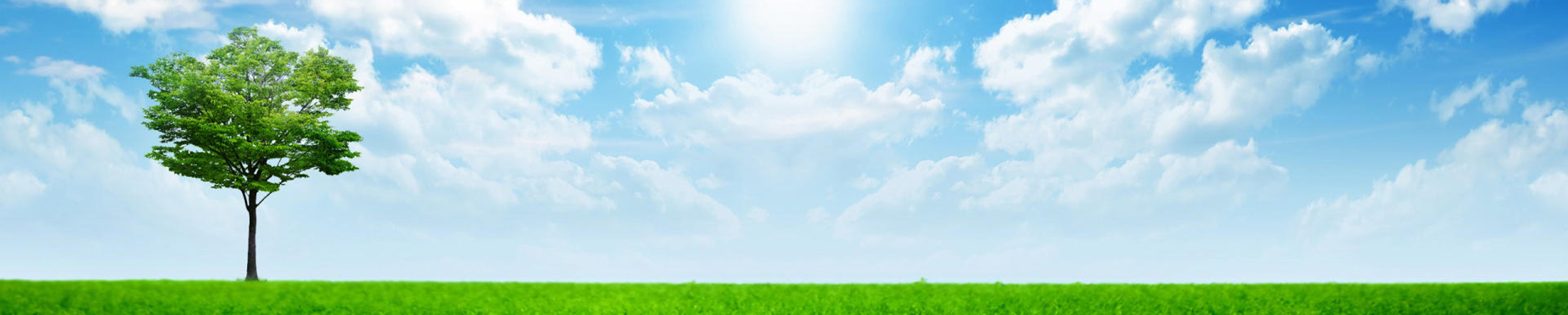 Able Home Loans & Insurance - Logo