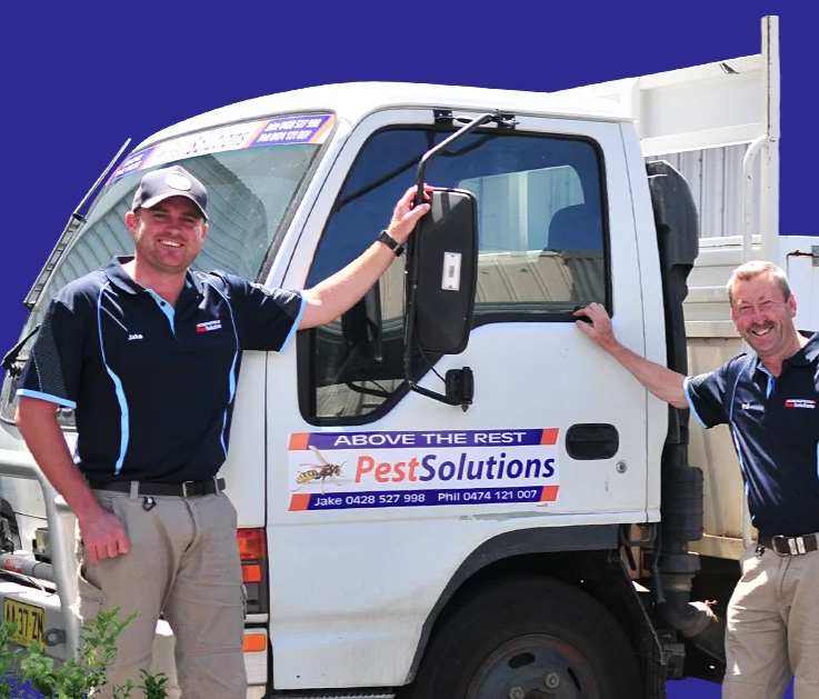 Above the Rest Pest Solutions - Cover photo
