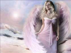 Abs Angels Beauty Secret 352329 - Logo