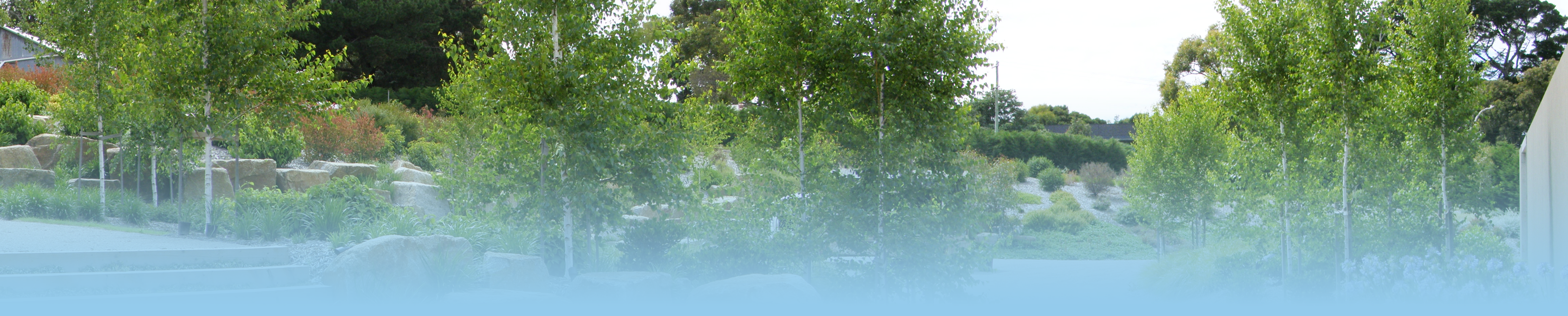 Absolute Landscapes & Garden Care - Logo