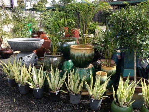 Absolutely Fabulous Garden Centre - Cover photo