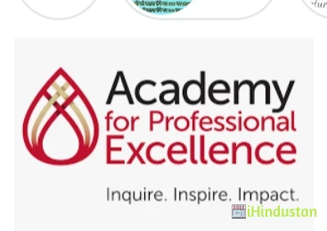 Academy for Professional Excellence - Logo
