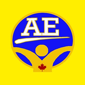 Academy Of Excellence - Logo