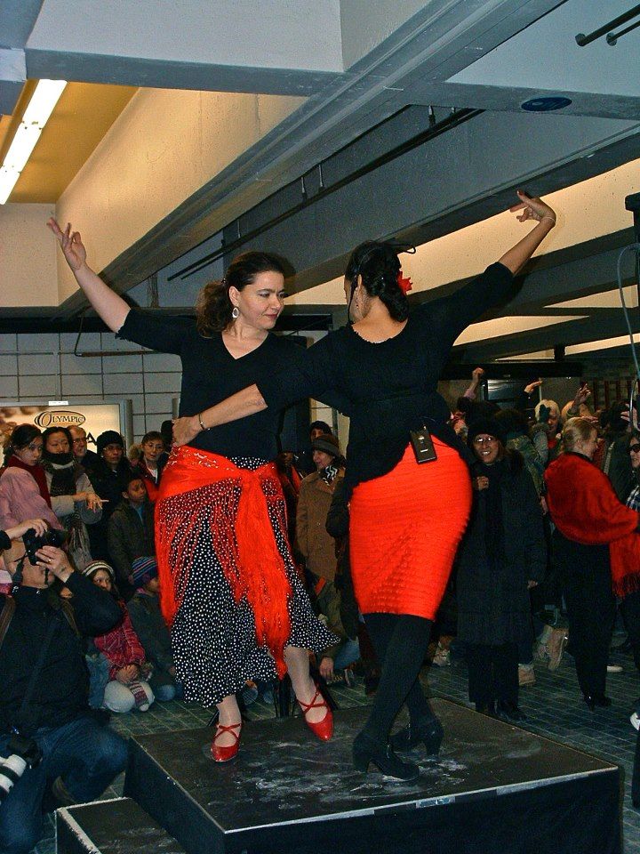 Académie Ballet Flamenco Lina Moros - Logo