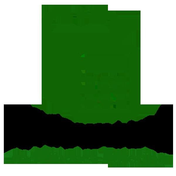 Accounting and Finance Tutoring - Logo