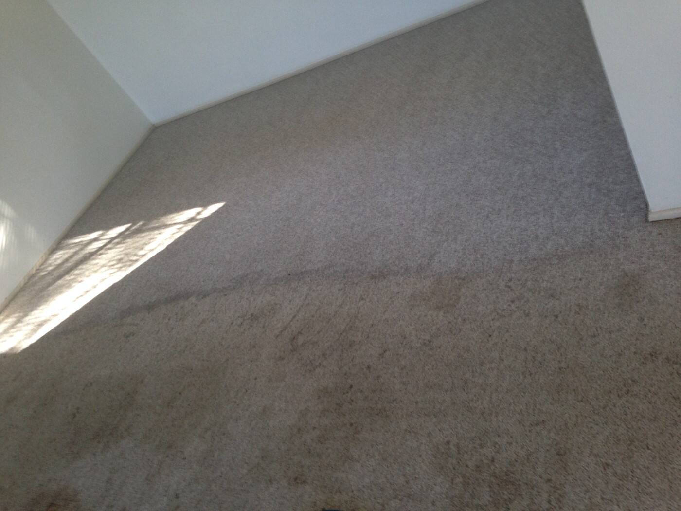 Accredited Carpet Care & Pest Management - Cover photo