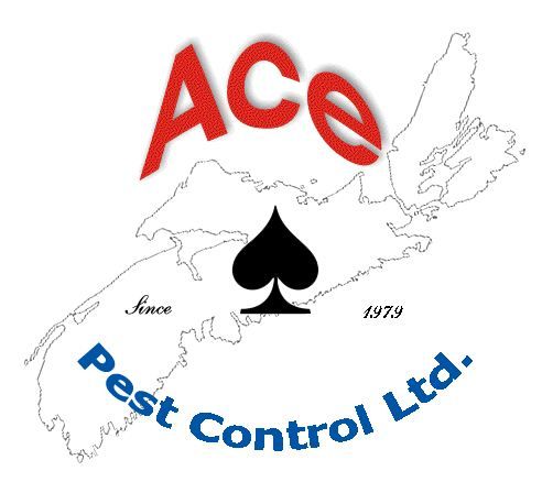 Ace Pest Control Limited - Logo