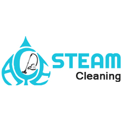 Ace Steam Cleaning - Logo