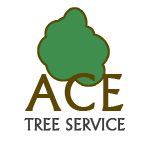 Ace Tree Service - Logo