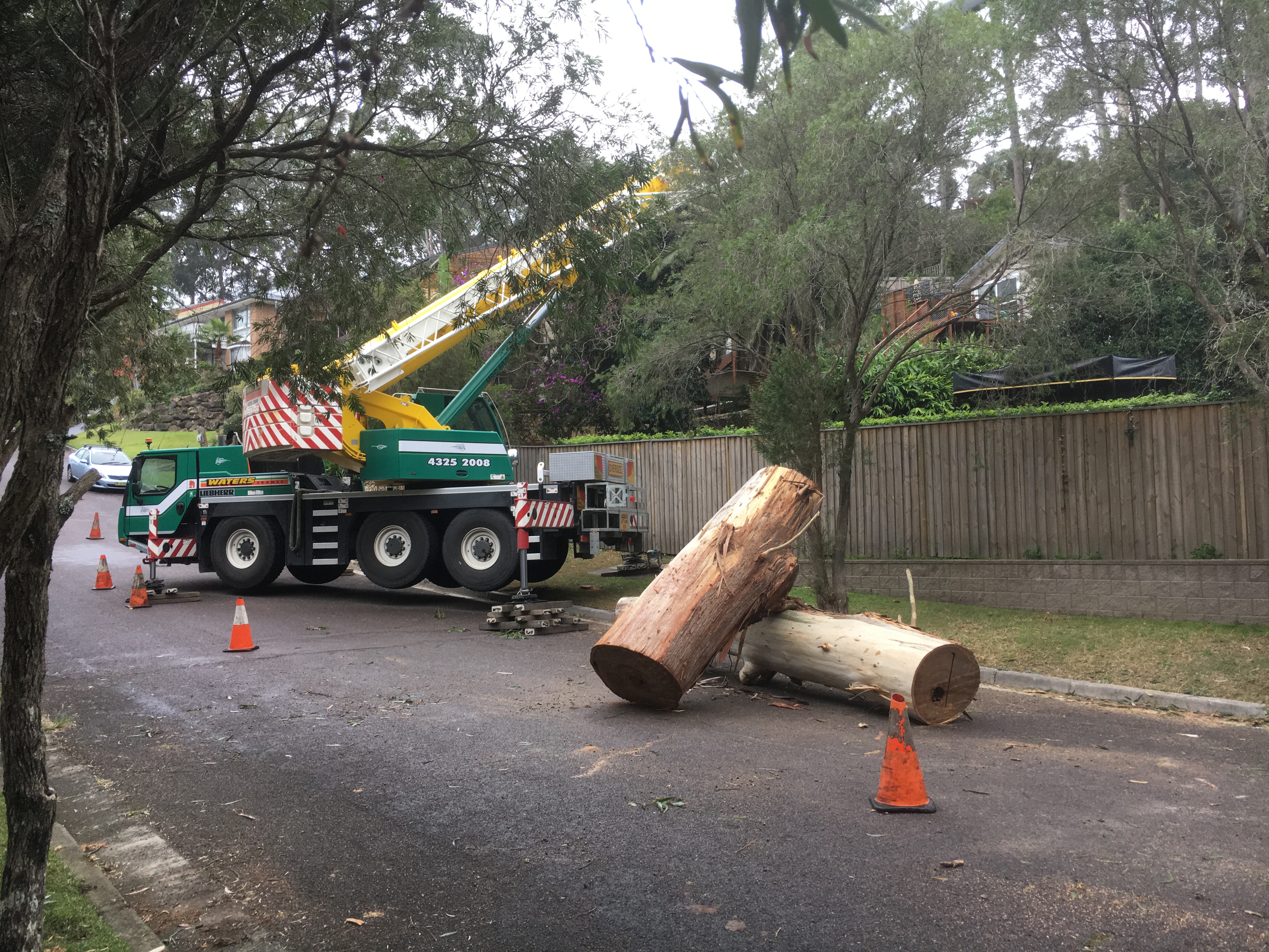 A Class Tree Solutions - Cover photo