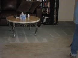 A Cleaner Carpet Cleaning - Logo