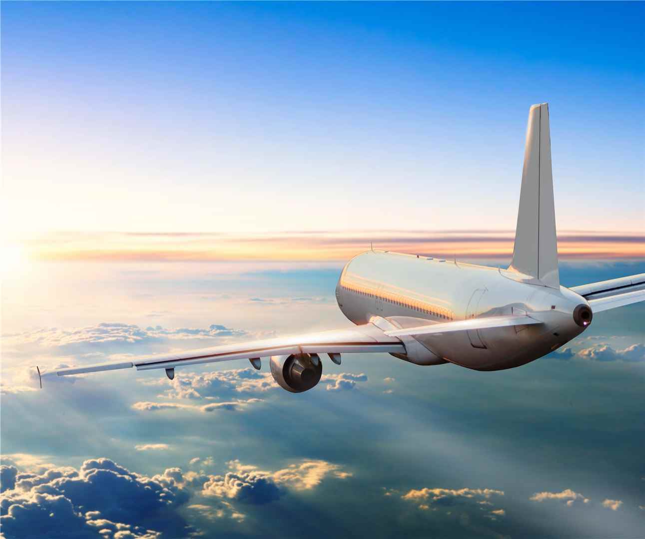 Acme Tour And Travels - Cover photo