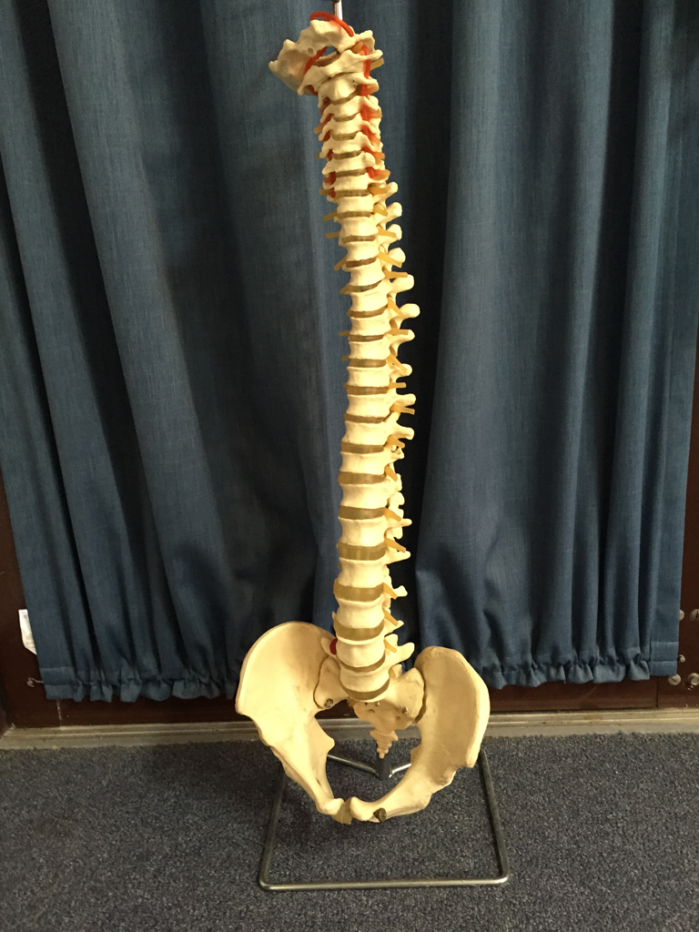 Active Physiotherapy Solutions - Cover photo