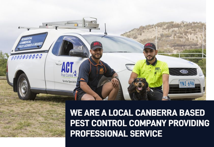 ACT Pest Control - Cover photo