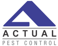 Actual Pest Control - Logo