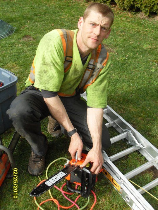Adams Yard / Tree Service - Logo