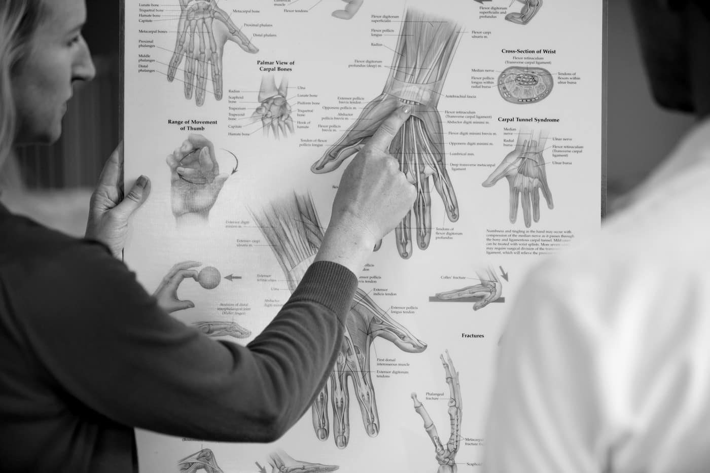 Adelaide & Hills HAND THERAPY - Cover photo