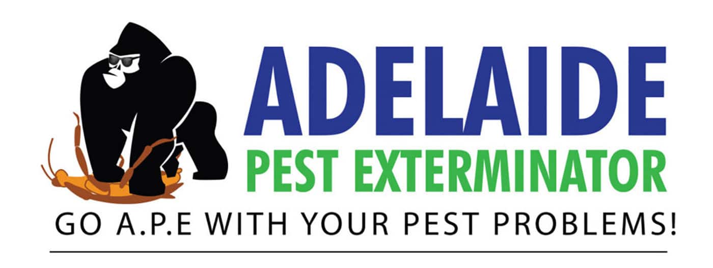 Adelaide Pest Exterminator - Cover photo
