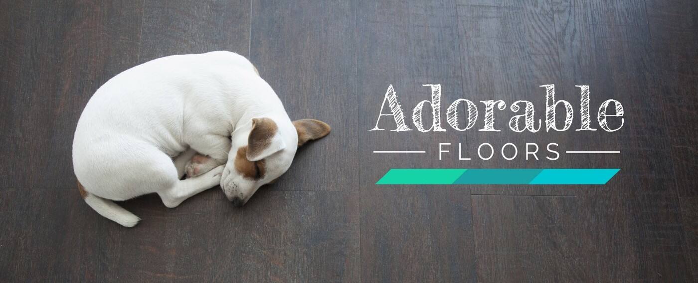 Adorable Floors - Cover photo