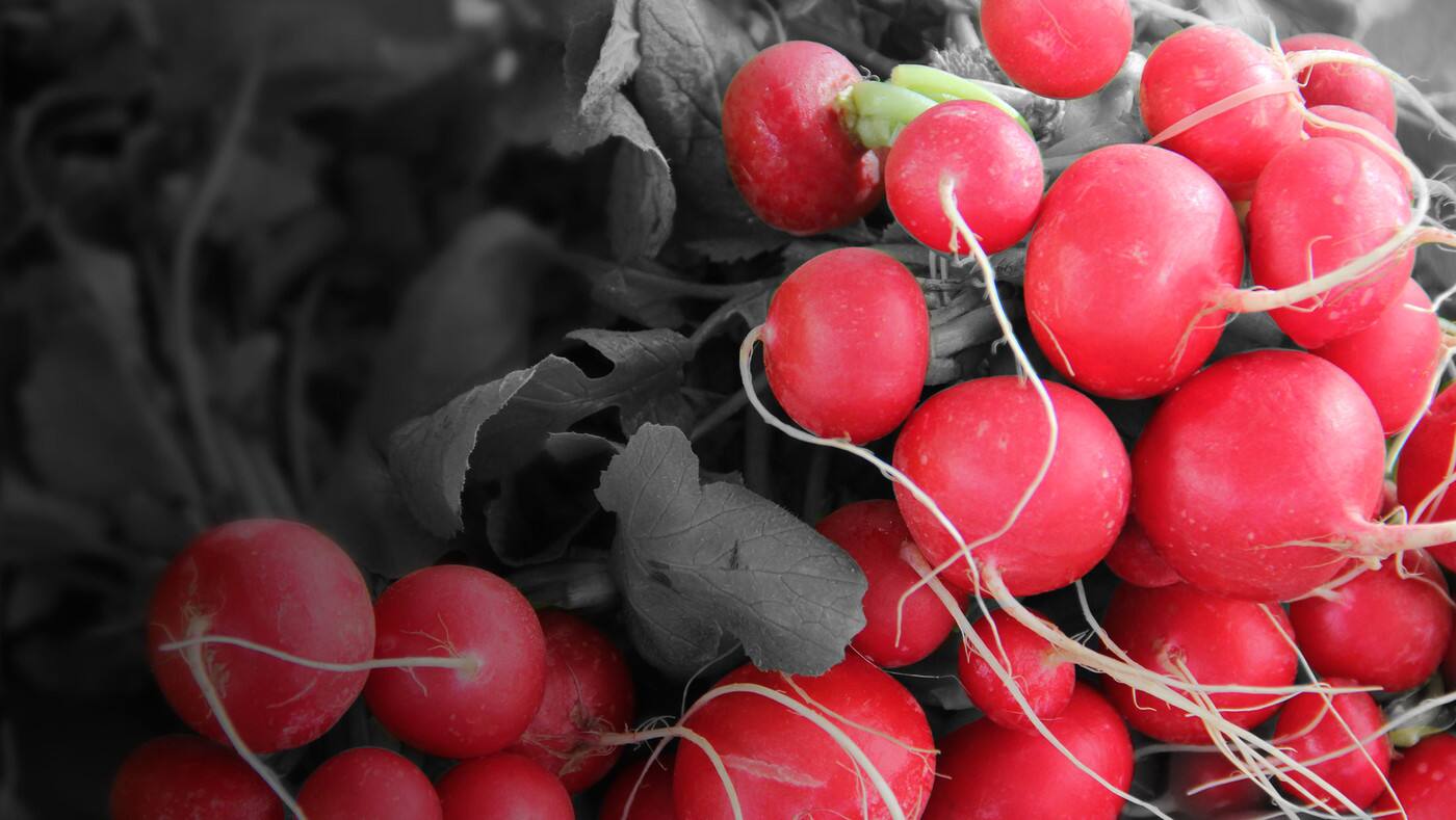Advanced Nutrition - Cover photo