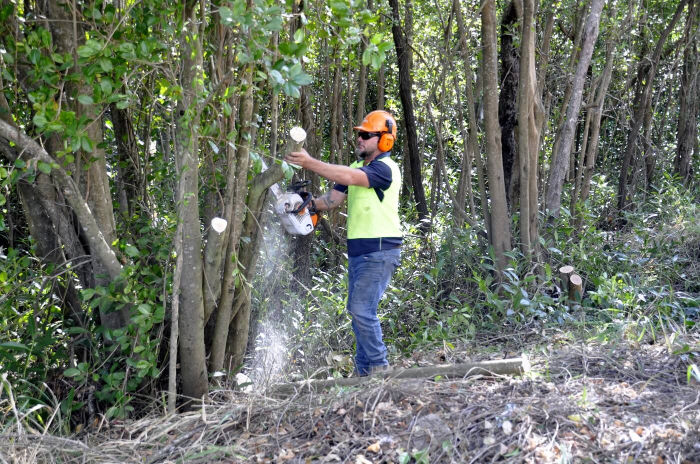 Advanced Tree Care Mackay Pty Ltd - Cover photo