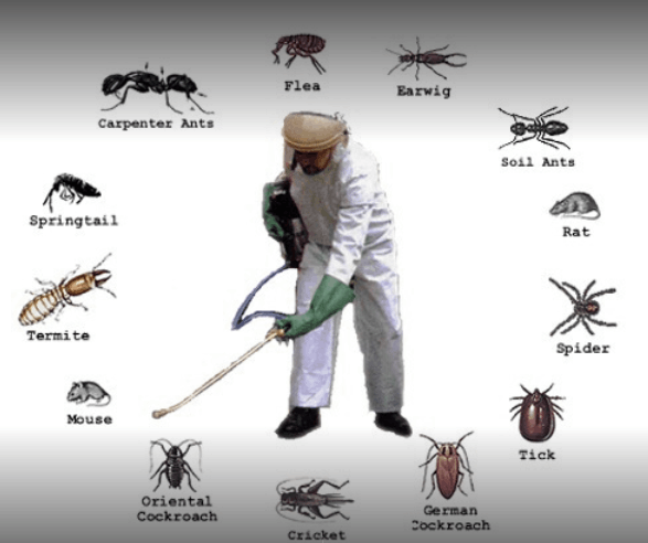 Advantage Pest Control - Cover photo