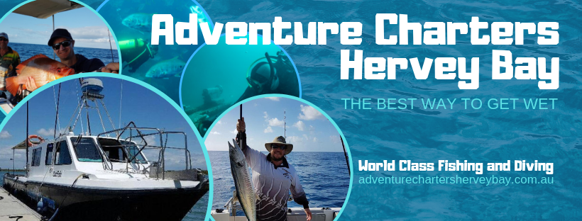 Adventure Charters Hervey Bay - Cover photo