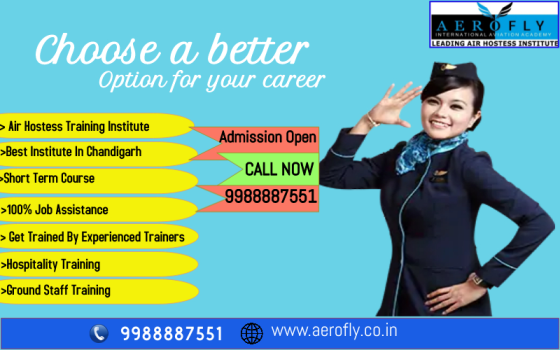 Aerofly International Aviation Academy - Cover photo