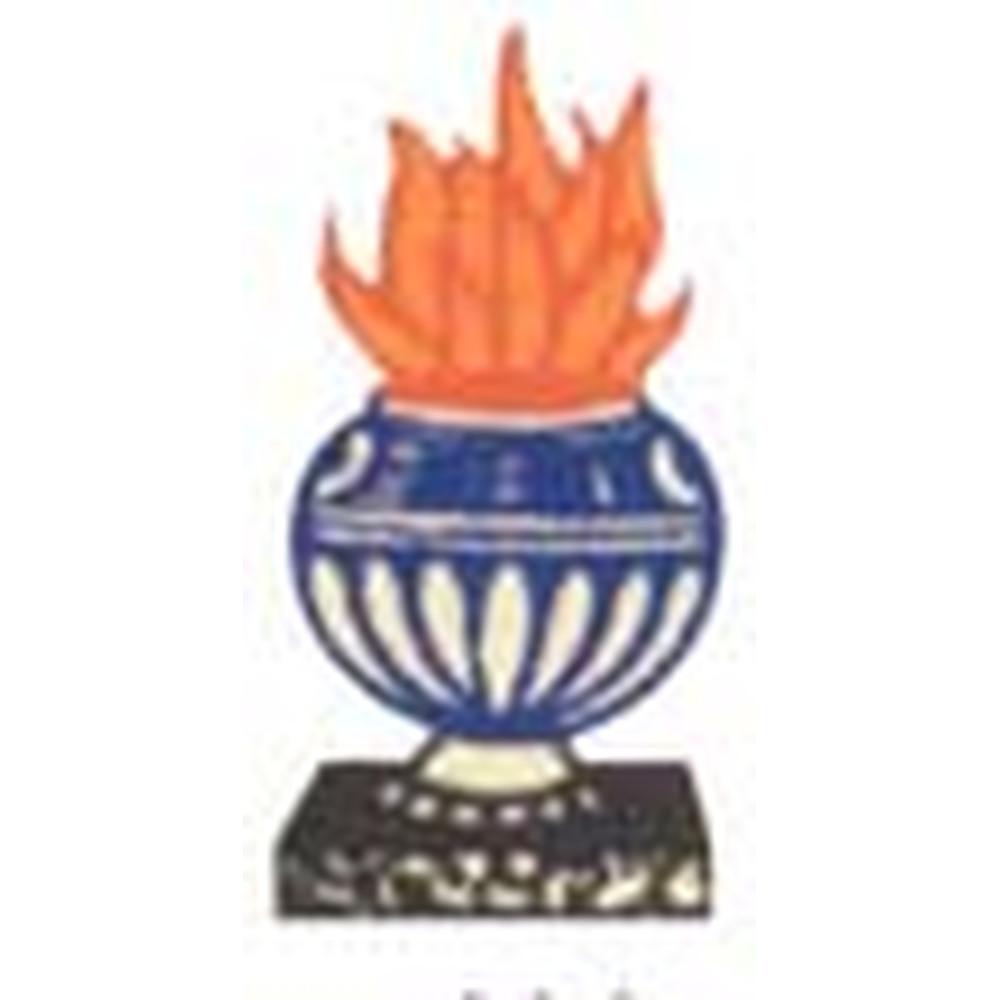 A E S National College (AESNC), Chikkaballapura - Logo