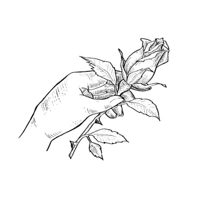 Aesthete Film and Photography - Logo