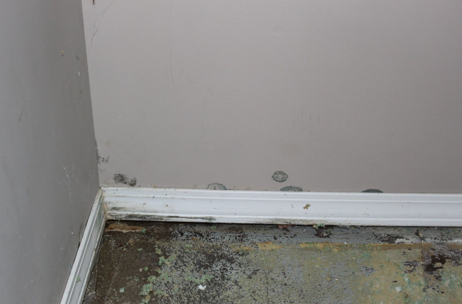 Affordable Basement Waterproofing - Logo